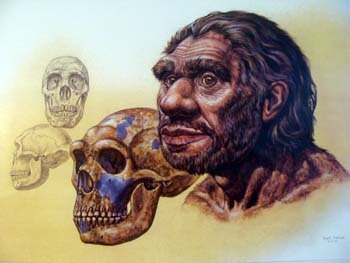Restoration concept of Shanidar 1 male.